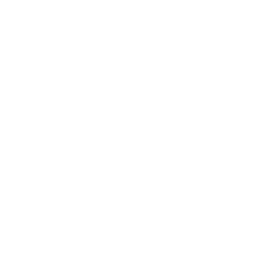 Logo Havana